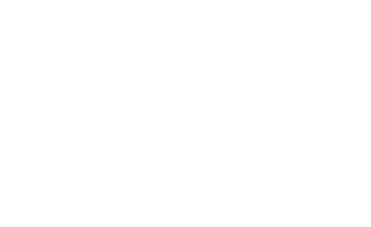 Sankei Type